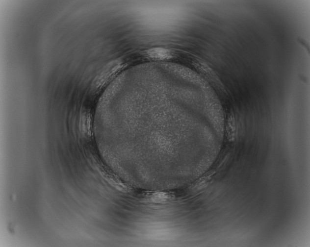 X0000100860330200807111259