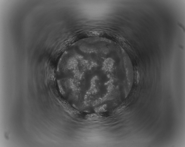 X0000100860331200807111259