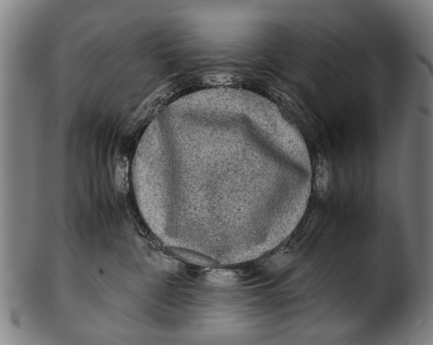 X0000100860332200807111259