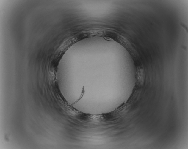 X0000100860333200807111259