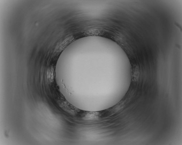 X0000100860334200807111259