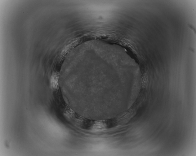 X0000100860335200807111259