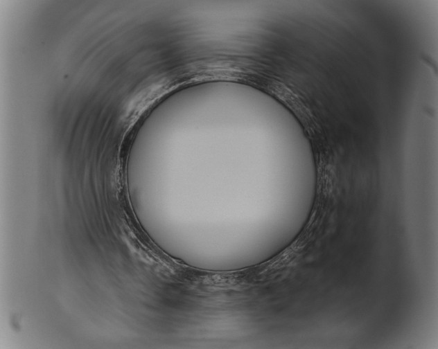 X0000100860338200807111258