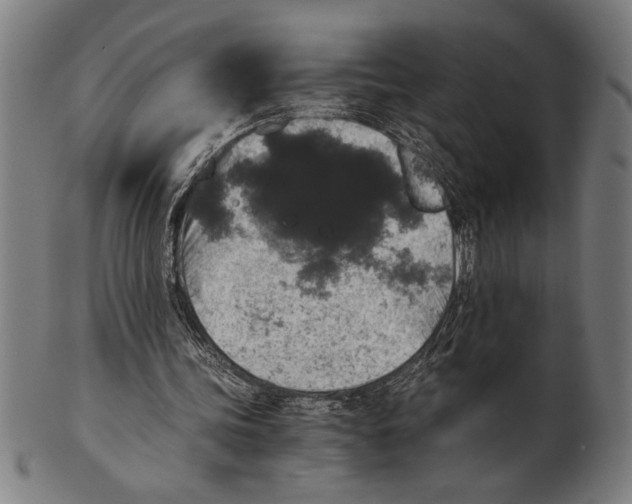 X0000100860339200807111258