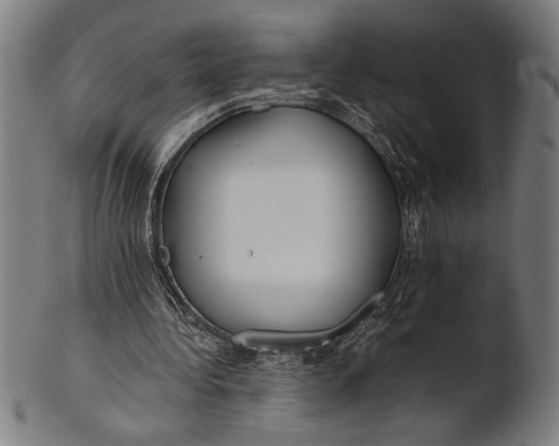 X0000100860340200807111258