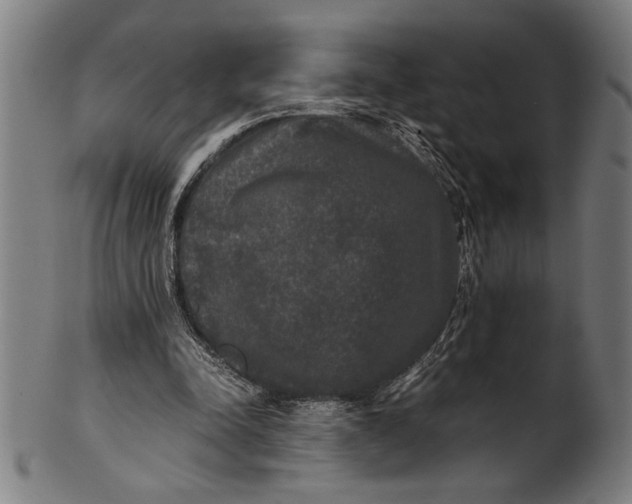 X0000100860342200807111258