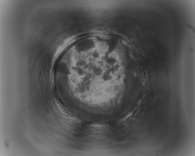 X0000100860343200807111258