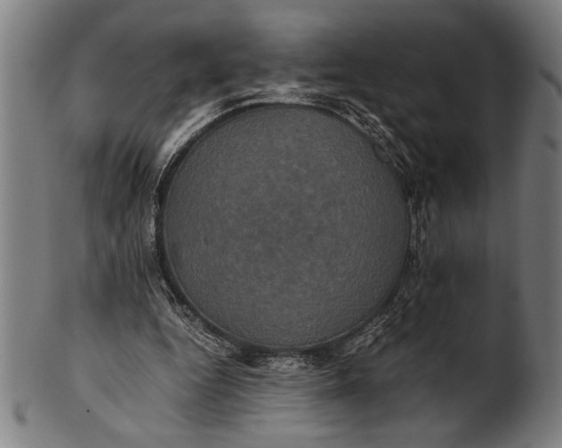 X0000100860344200807111258