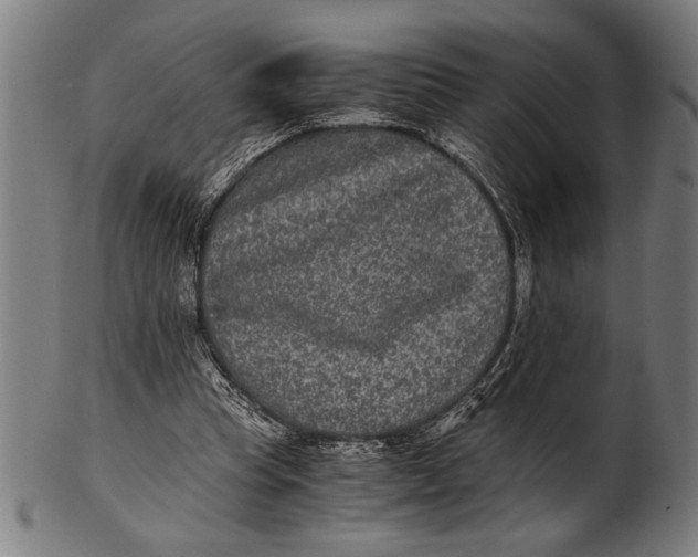 X0000100860345200807111258