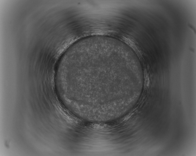 X0000100860346200807111258