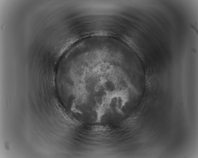 X0000100860347200807111258