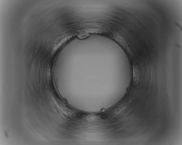 X0000100860348200807111258