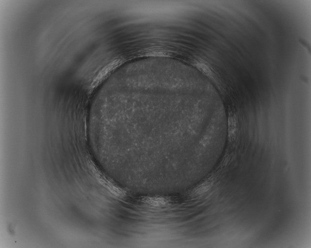 X0000100860349200807111258