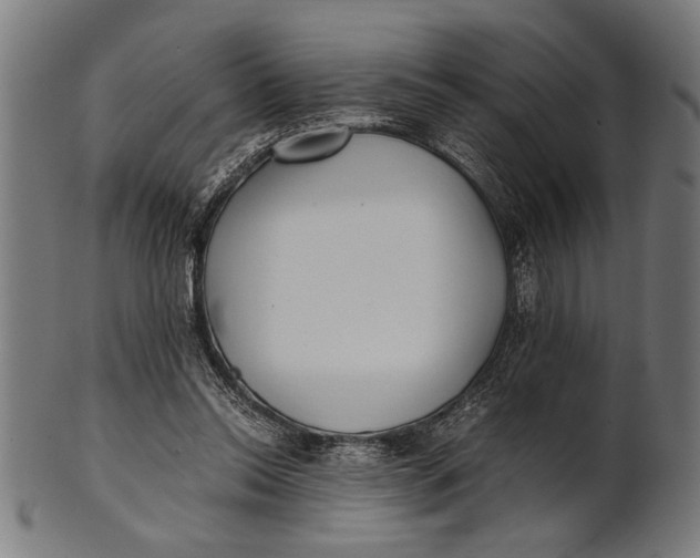 X0000100860350200807111258