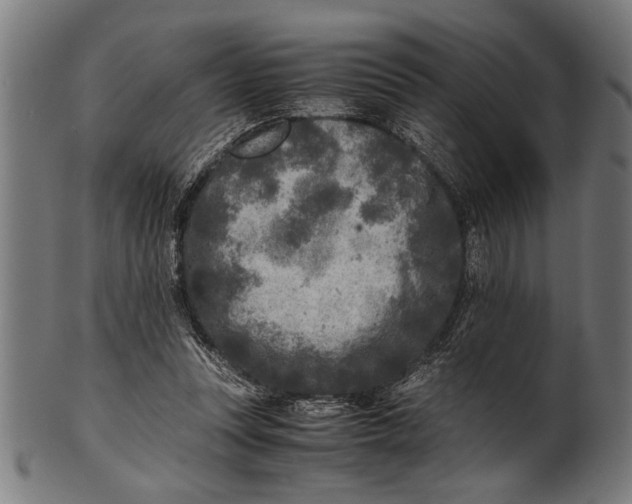 X0000100860351200807111259