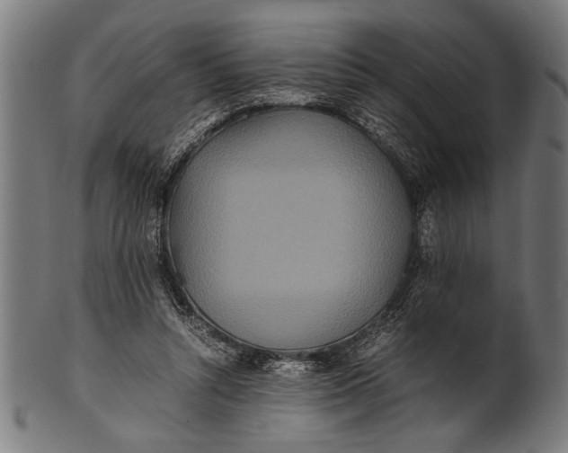 X0000100860352200807111259