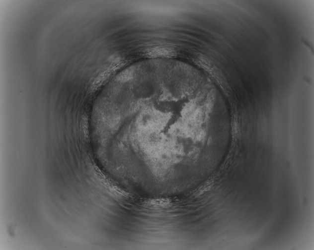 X0000100860353200807111259