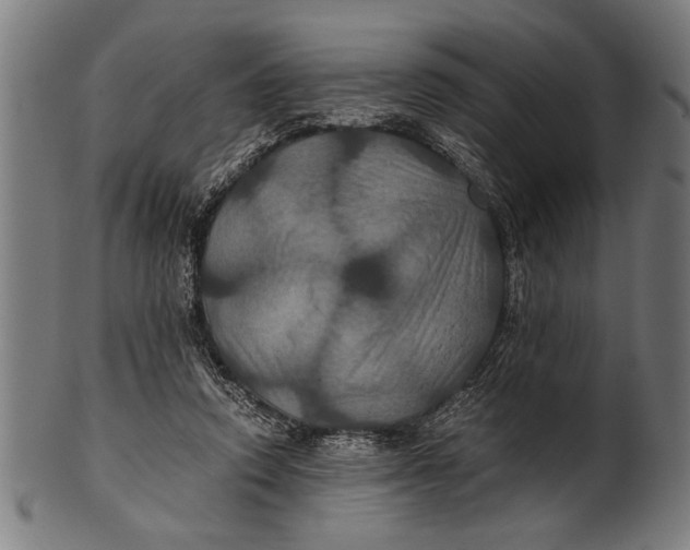 X0000100860354200807111259