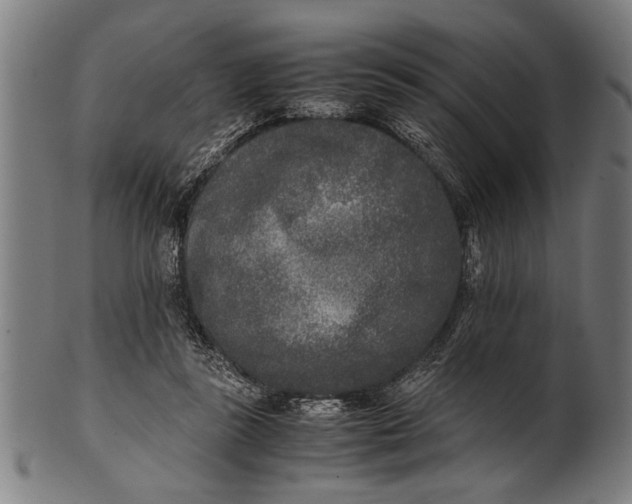 X0000100860355200807111259