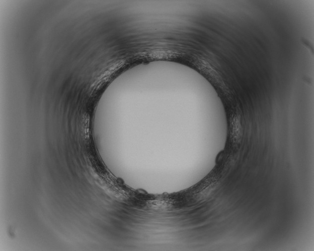 X0000100860356200807111259