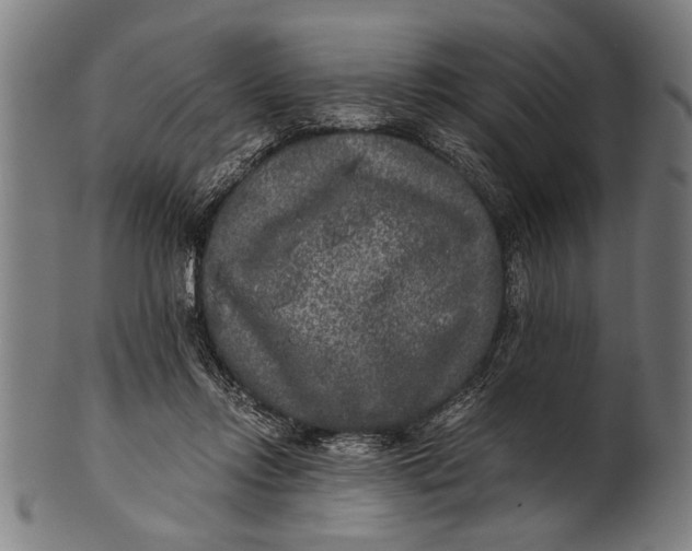 X0000100860358200807111259