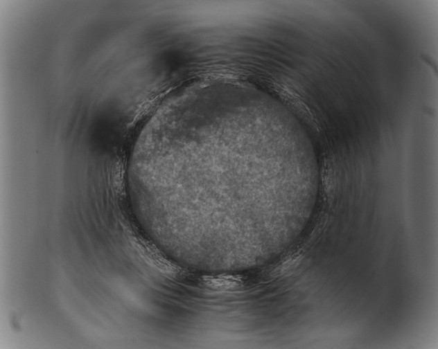 X0000100860359200807111259