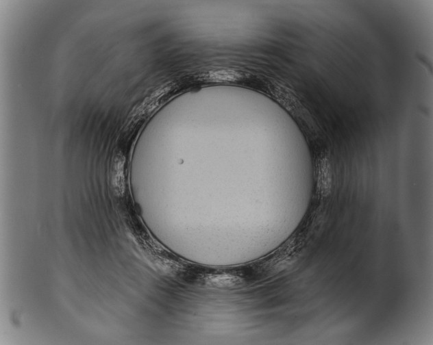 X0000100860360200807111259