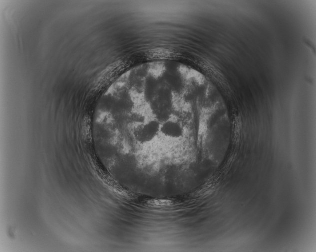 X0000100860361200807111259