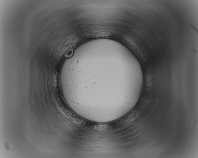 X0000100860362200807111259