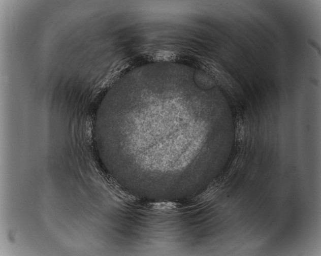 X0000100860363200807111259