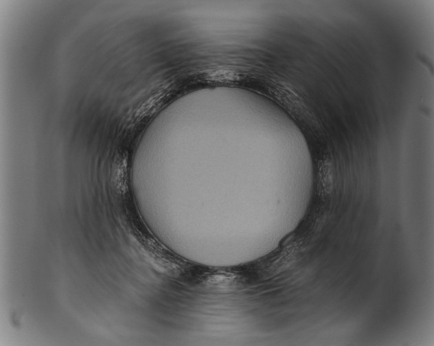 X0000100860364200807111259