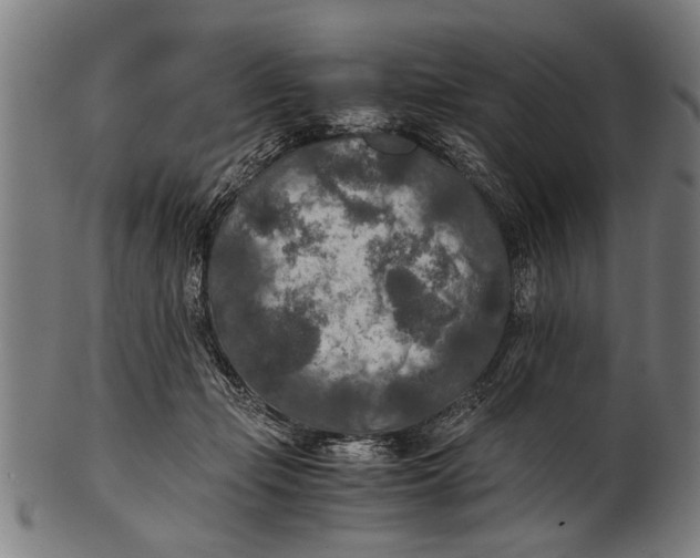 X0000100860365200807111259