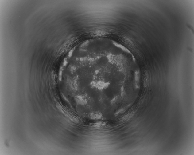 X0000100860366200807111259