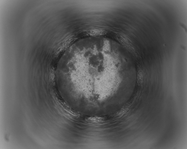 X0000100860367200807111259