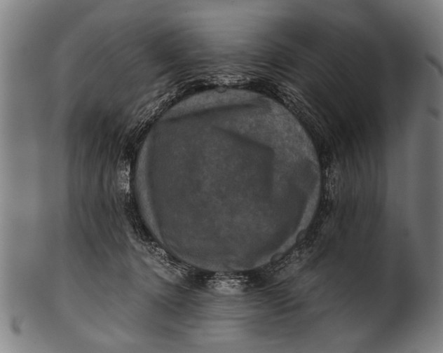 X0000100860368200807111259