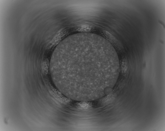 X0000100860370200807111259