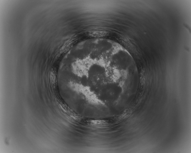 X0000100860371200807111259