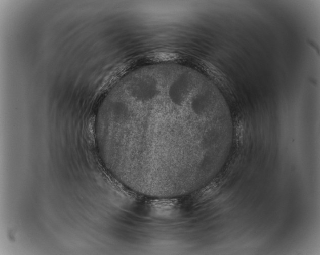 X0000100860373200807111259