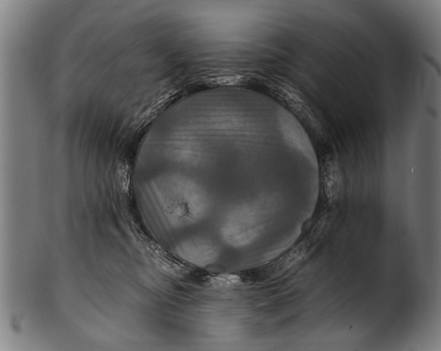 X0000100860374200807111259