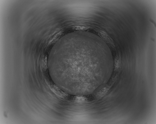 X0000100860376200807111259