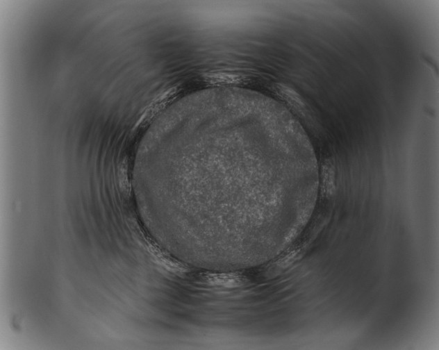 X0000100860377200807111259