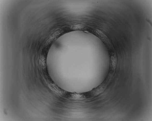 X0000100860380200807111259