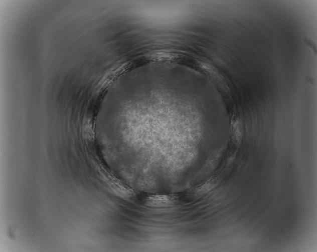 X0000100860381200807111259