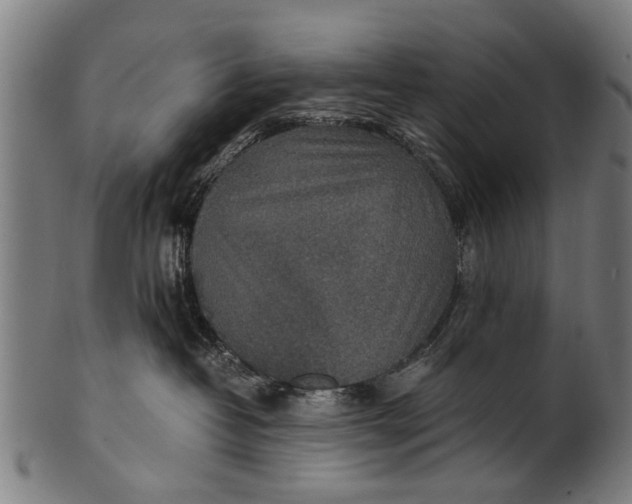 X0000100860382200807111259