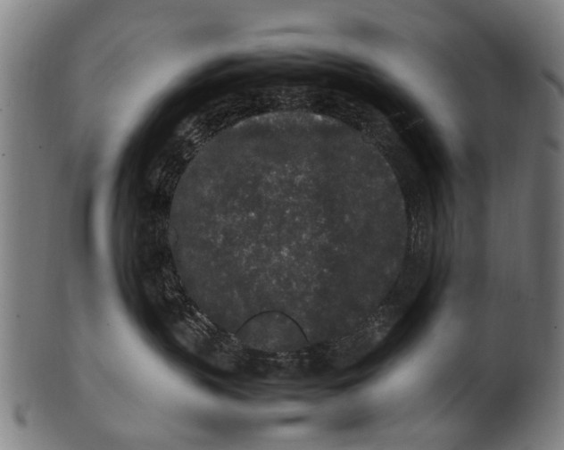 X0000100860383200807111259