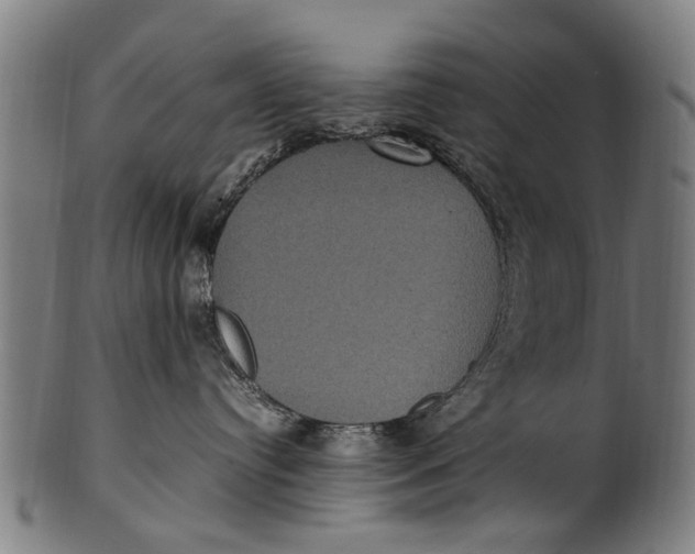 X0000100860384200807111259