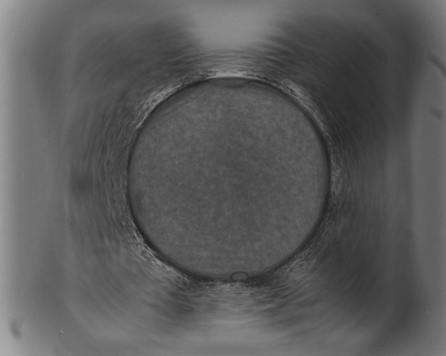 X0000100860385200807111258