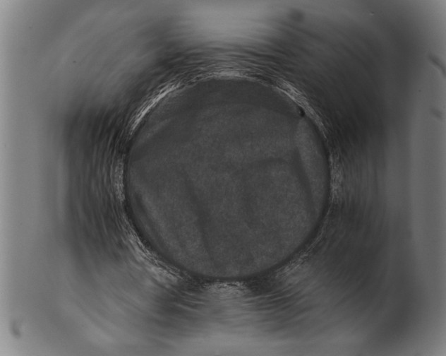 X0000100860386200807111258