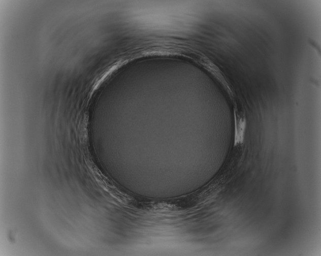 X0000100860387200807111258