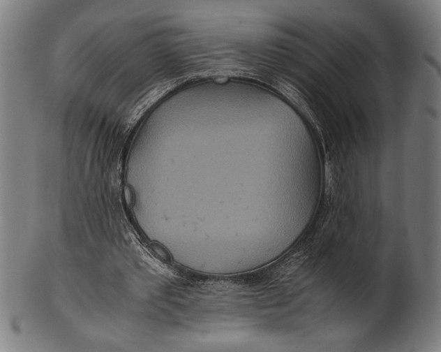 X0000100860389200807111258